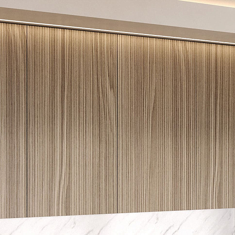 Фасады «Линеа» - детальное фото № 9